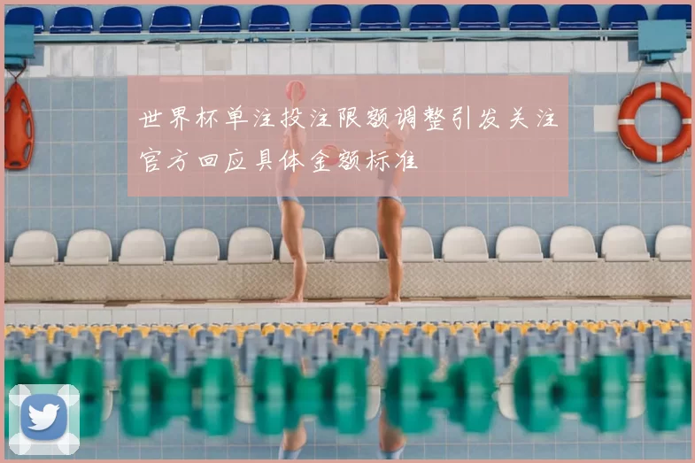 世界杯单注投注限额调整引发关注官方回应具体金额标准