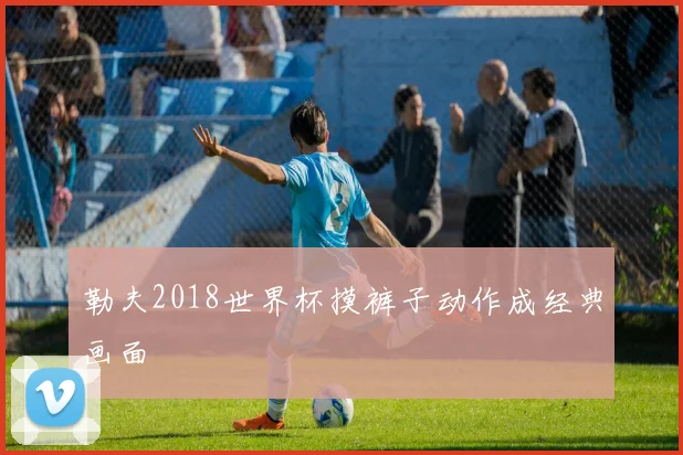 勒夫2018世界杯摸裤子动作成经典画面