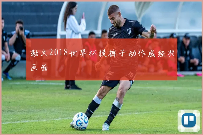 勒夫2018世界杯摸裤子动作成经典画面