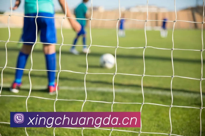 乐鱼(中国)leyu·官方网页版服务体系